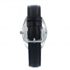Gents Omega Seamaster 166.067 Silver case with Silver dial